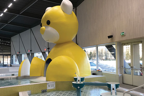 555x370 Teddy Zaanstad