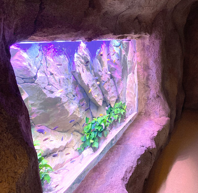 Tropical-Islands_IMG_3502_bewerkt