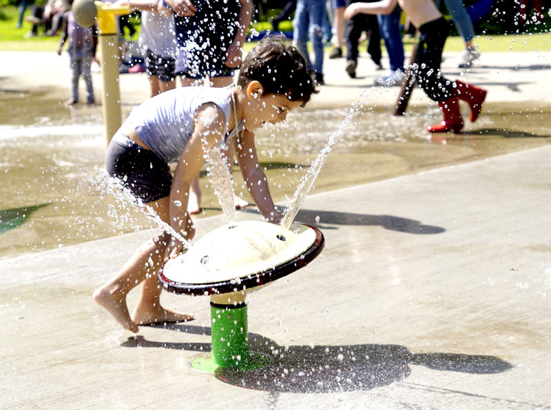 Capelle-aan-den-IJssel---Schollebos_4